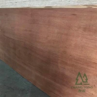 रेड मारेंटी प्लाईवुड